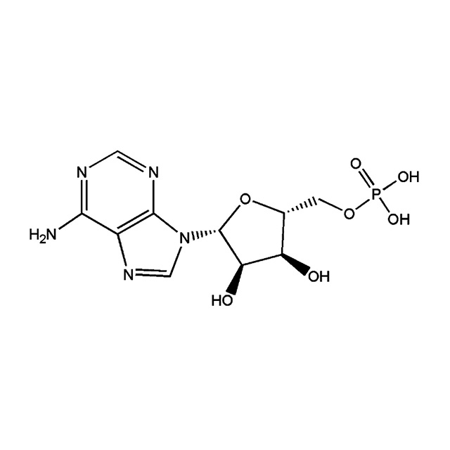  5'-腺苷酸