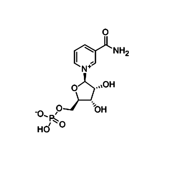 烟酰胺核苷酸